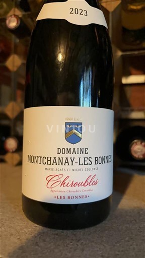 Beaujolais Chiroubles Domaine Montchanayles Bonnes Les Bonnes 2023