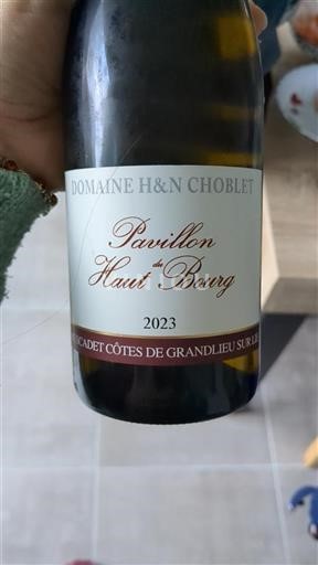 Loire-dalen Ikke specificeret Domaine H&n Choblet Pavillon du Haut Bourg 2023