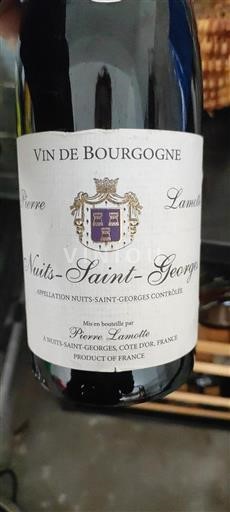 Burgundsko Nuits-saint-georges Pierre Lamotte 2012