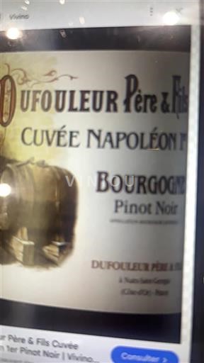 Bourgogne Dufouleur Père & Fils Napoléon Icke årgångsbetecknad