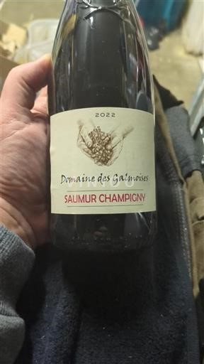 Loiretal Saumur-Champigny Domaine Des Galmoises 2022