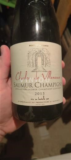 Loirevallei Saumur-champigny Charles De Villeneuve 2015