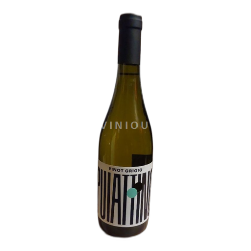 Vin Blanc sec Puiattino 2024 Italie Piémont Boca DOC