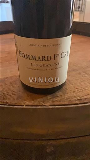 Burgundi Pommard Premier Cru Domaine Christophe Vaudoisey Les Chanlins 2019