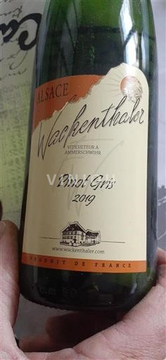 Alzacija Ni doloceno Wackenthaler Pinot Gris 2019