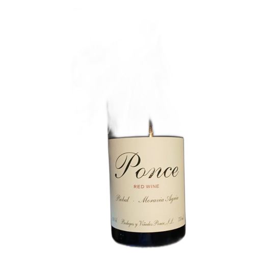 Vin Rouge sec Moravia agria Ponce 2023 Espagne La Rioja Rioja DO
