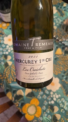 Bourgogne Không được chỉ định Premier Cru Domaine Trémeaux Les Croichots 2022