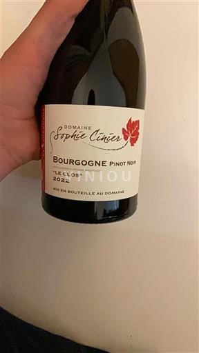 Burgund Nicht spezifiziert Domaine Sophie Cinier Le Clos 2022