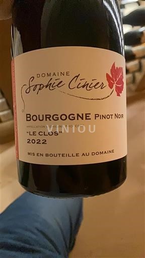 Vin Rouge sec Le Clos Domaine Sophie Cinier 2022 France Bourgogne AOC