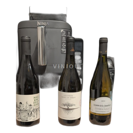 Vin Blanc demi-sec Les pieds dans le sable La pointe 2020 France Sud-Ouest Vin de France