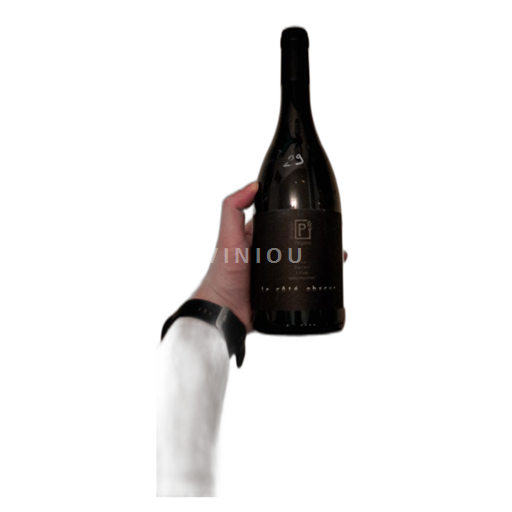 Vin Rouge sec Pegaline 2021 France Languedoc Pic-saint-loup AOC