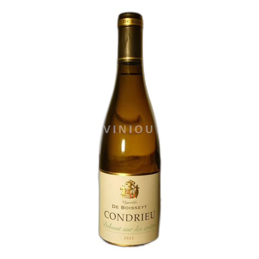 Rhônetal Condrieu Vignoble De Boisseyt Debout sur les crêtes 2021