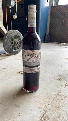 Provence, Lower Rhône Valley, Corsica Île de Beauté Domaine À Tippana 2020