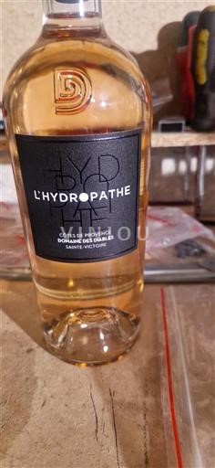 Provence Côtes-de-Provence Domaine Des Diables L'hydropathe 2023