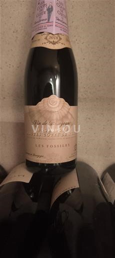 Bourgogne Ospecificerad Les Fossiles 2018
