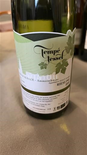 Алзас Аласас Tempe Jessel 2020