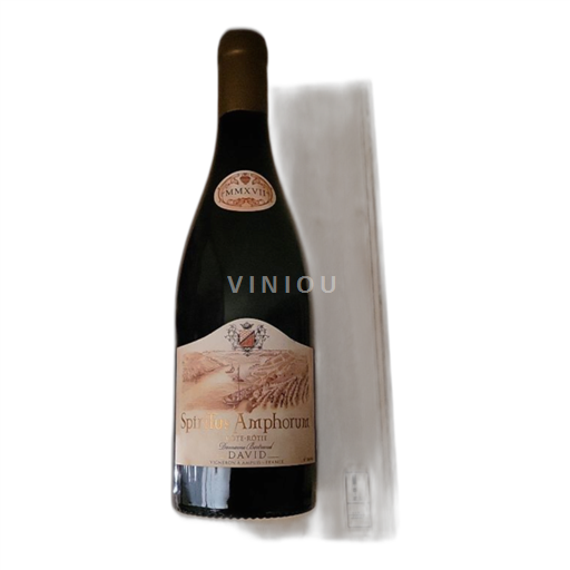 Valle del Rodano Côte-rôtie Domaine Bertrand David Spiritus Amphorum 2017