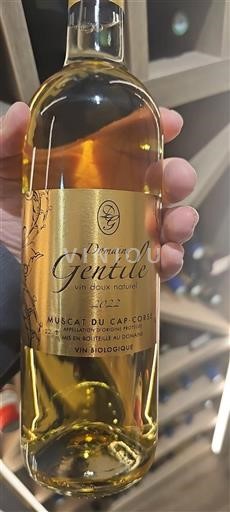 Corsica Muscat du Cap Corse Domaine Gentile 2022