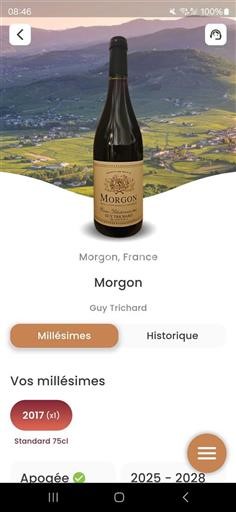 Beaujolais Morgon Guy Trichard 2017