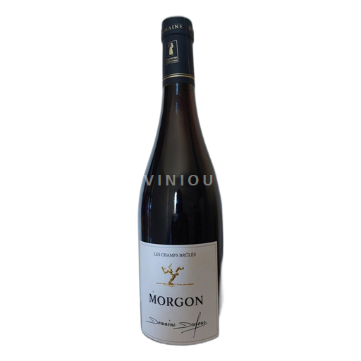 Beaujolais Morgon Dufour Les Champs Brûlés 2023