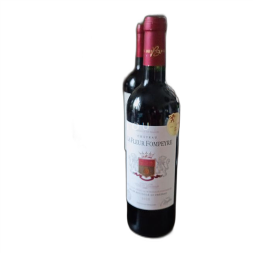Bordeaux Castillon-côtes-de-bordeaux Château La Fleur Fompeyre 2022