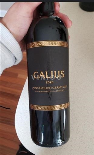 Vin Rouge sec Galius 2020 France Bordeaux Saint-Émilion AOC Grand Cru