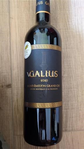 Vin Rouge sec Galius 2020 France Bordeaux Saint-Émilion AOC Grand Cru