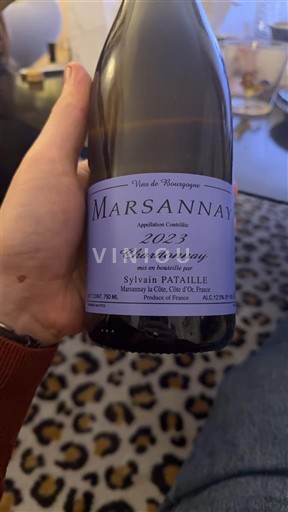 Burgundsko Marsannay Domaine Sylvain Pataille Chardonnay 2023