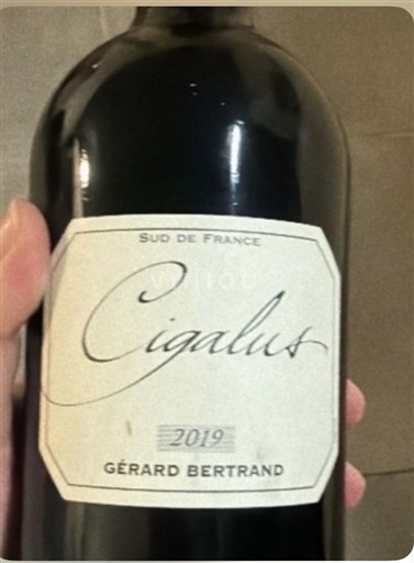 Languedoc Ikke specificeret Domaine Gérard Bertrand Cigalus 2019