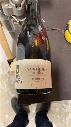 Bourgogne Saint-Aubin Yannick Debray les Pucelles 2020