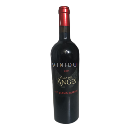 Languedoc Les Darons Villa des anges 2021