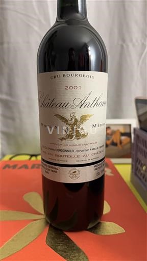Bordeaux Moulis-en-Médoc Château Anthonic 2001