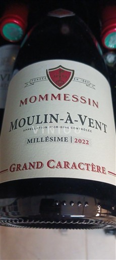 Beaujolais Moulin-à-vent Mommesin Grand Caractère 2022