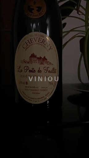 Loirevallei Cheverny Earl Vignoble Tevenot La Pente de Feuillet Niet-geïntegreerd