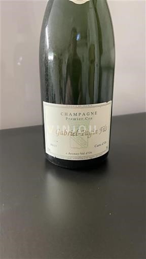 Champagne Nespecifikováno Premier Cru R. Gabrielpagin Fils Carte d%27Or Neročník
