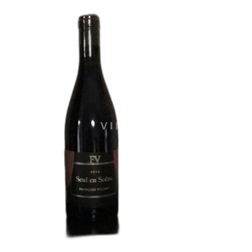 Údolí Rhôny François Villard Seul en Scène 2016