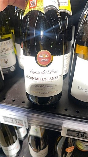 Bourgogne Mâcon và Mâcon-villages Esprit Des Lieux 2023