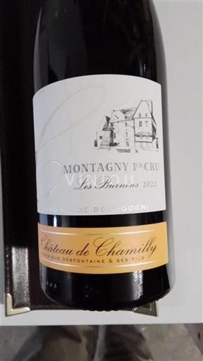 Borgogna Non specificato Premier Cru Château Chamilly Les Burnins 2022