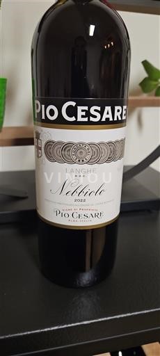 Piedmont Langhe Pio Cesare Nebbiolo 2022