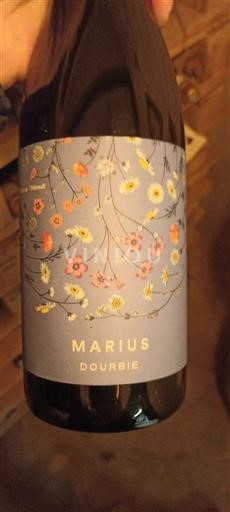 Languedoc Dourbie Marius 2022