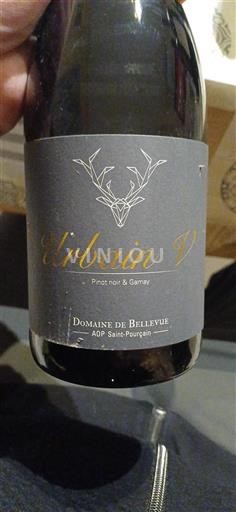 Loirevallei Saint-Pourçain Domaine Bellevue Urbain V 2018