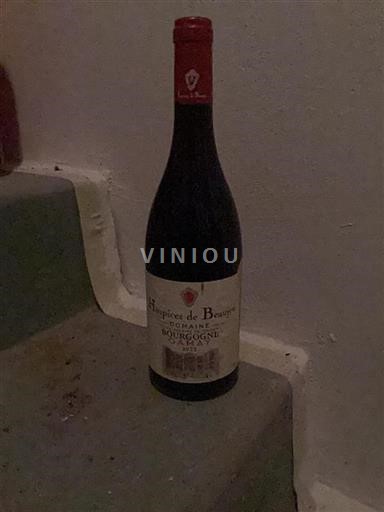 Burgund Hospices De Beaujeu 2023