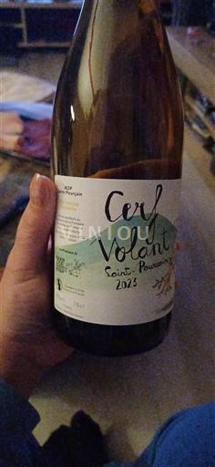 Údolí Loiry Saint-Pourçain Cerf Volant 2023