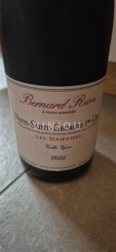 Bourgondië Nuits-saint-georges Premier Cru Domaine Bernard Rion Les Damodes 2022