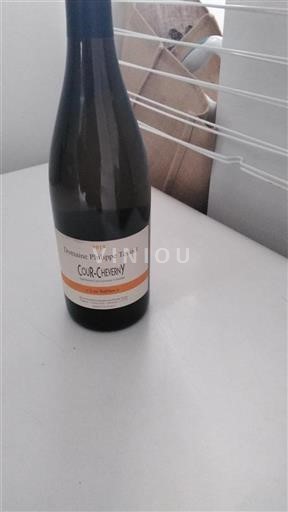 Loirevallei Cour-cheverny Domaine Philippe Tessier Les Sables 2019
