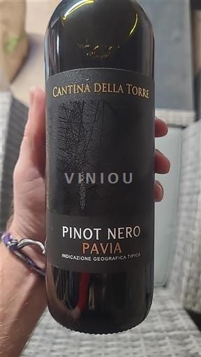 Piemonte Gavi Cantina Della Torre Pinot Nero Icke årgångsbetecknad