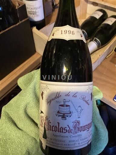 Loire-dalen Saint-Nicolas-De-Bourgueil Vignoble De La Rodairie 1996