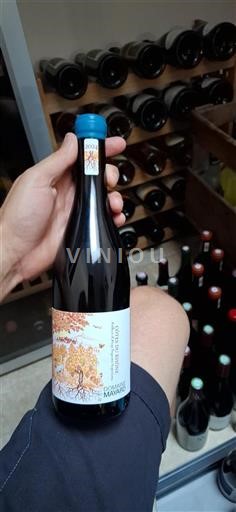 Rhône Valley Côtes-du-Rhône Domaine Mayard 2024