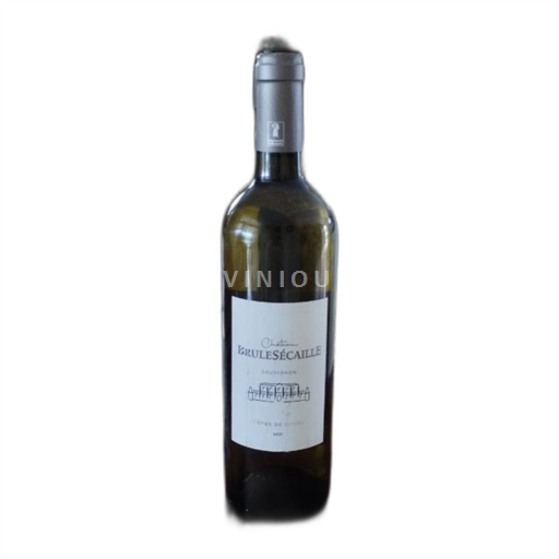 Bordeaux Côtes-de-bourg Château Brulesécaille 2021
