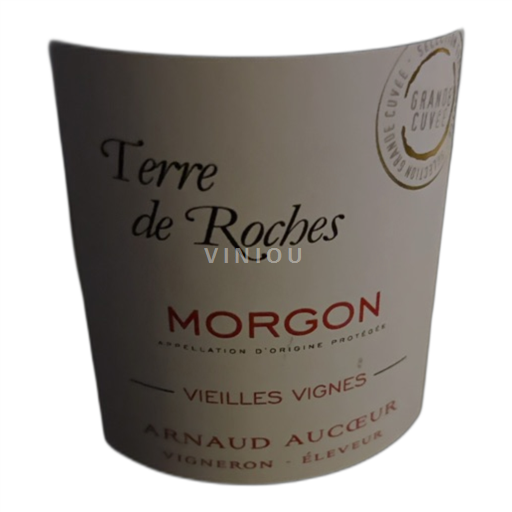 Beaujolais Morgon Arnaud Aucoeur Terre de Roches Không niên vụ